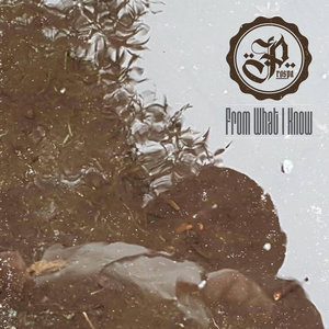 From What I Know cover