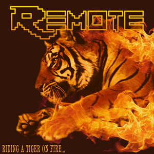 Riding A Tiger On Fire... Fighting A Bear At Same Time cover