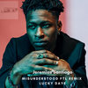 Misunderstood feat LD FTL remix