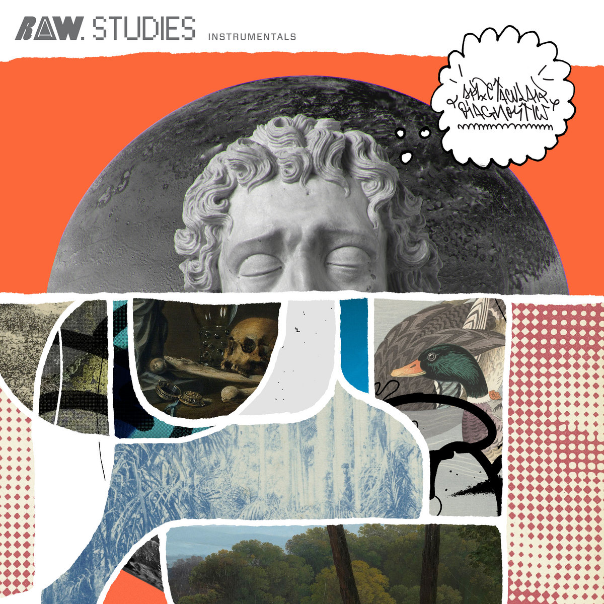 RAW STUDIES instrumentals | Spectacular Diagnostics