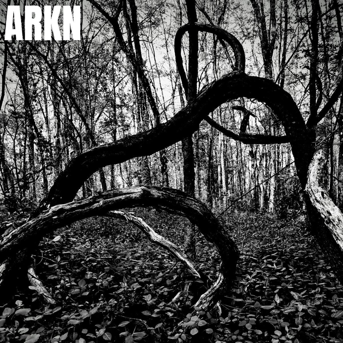 Demo | ARKN