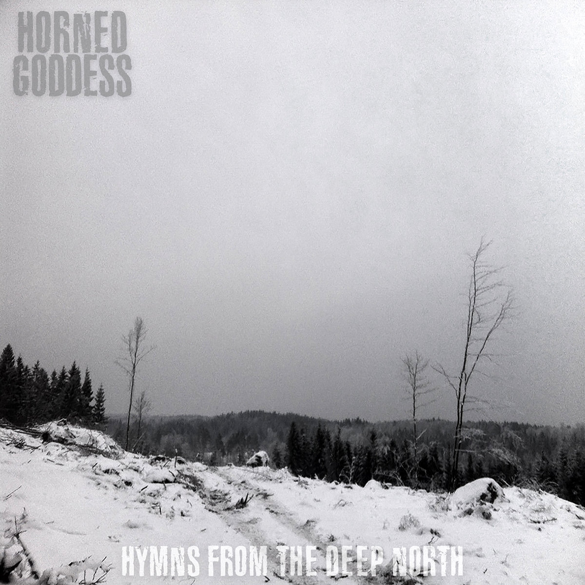 https://loneravnrecords.bandcamp.com/album/horned-goddess-hymns-from-the-deep-north