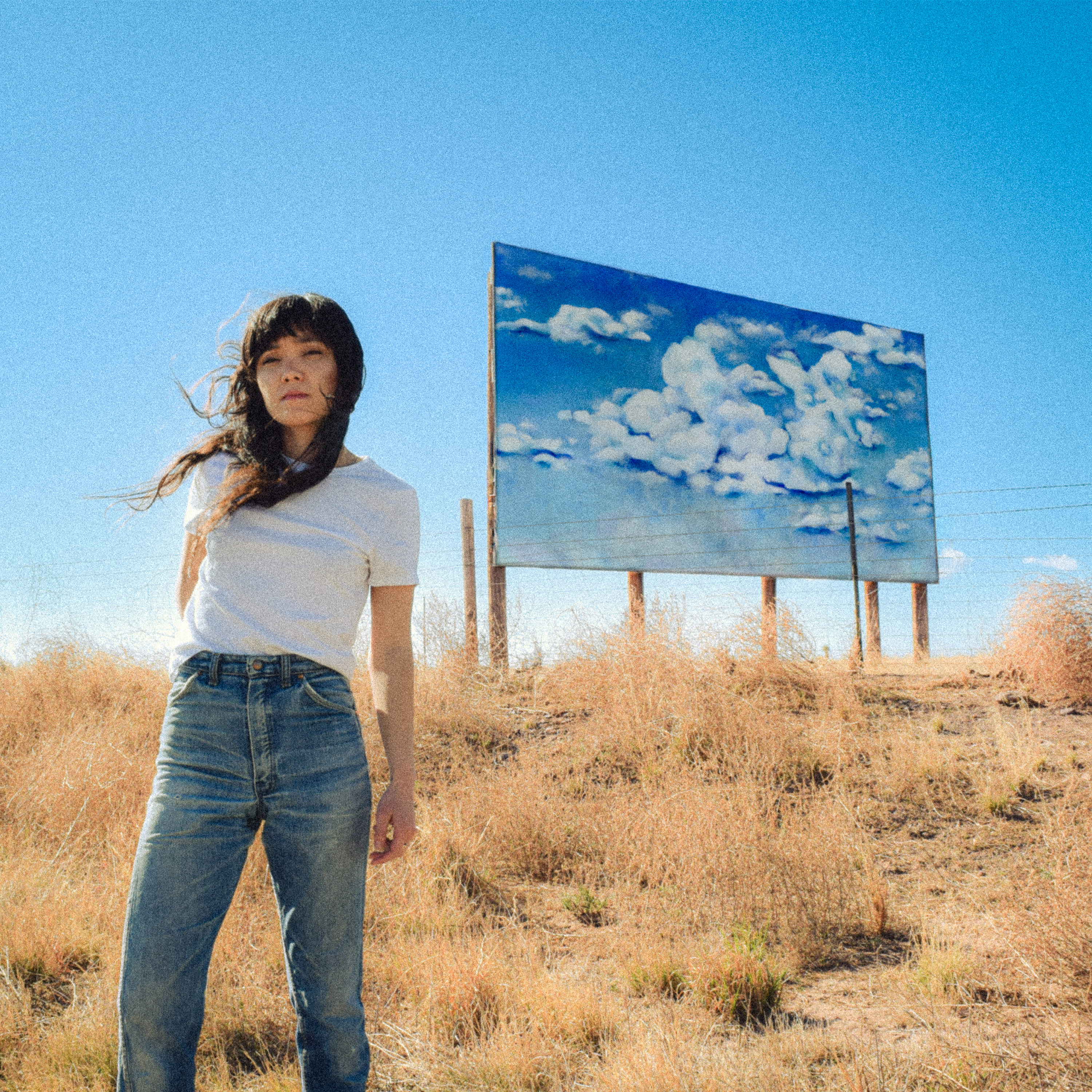 Ok Cowgirl — Rhinestone Cowgirl
