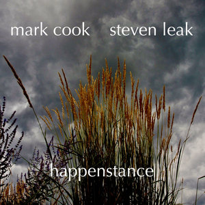 happenstancemark cook steven leak cover