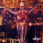 SUBSIT.170D - Broken Signals