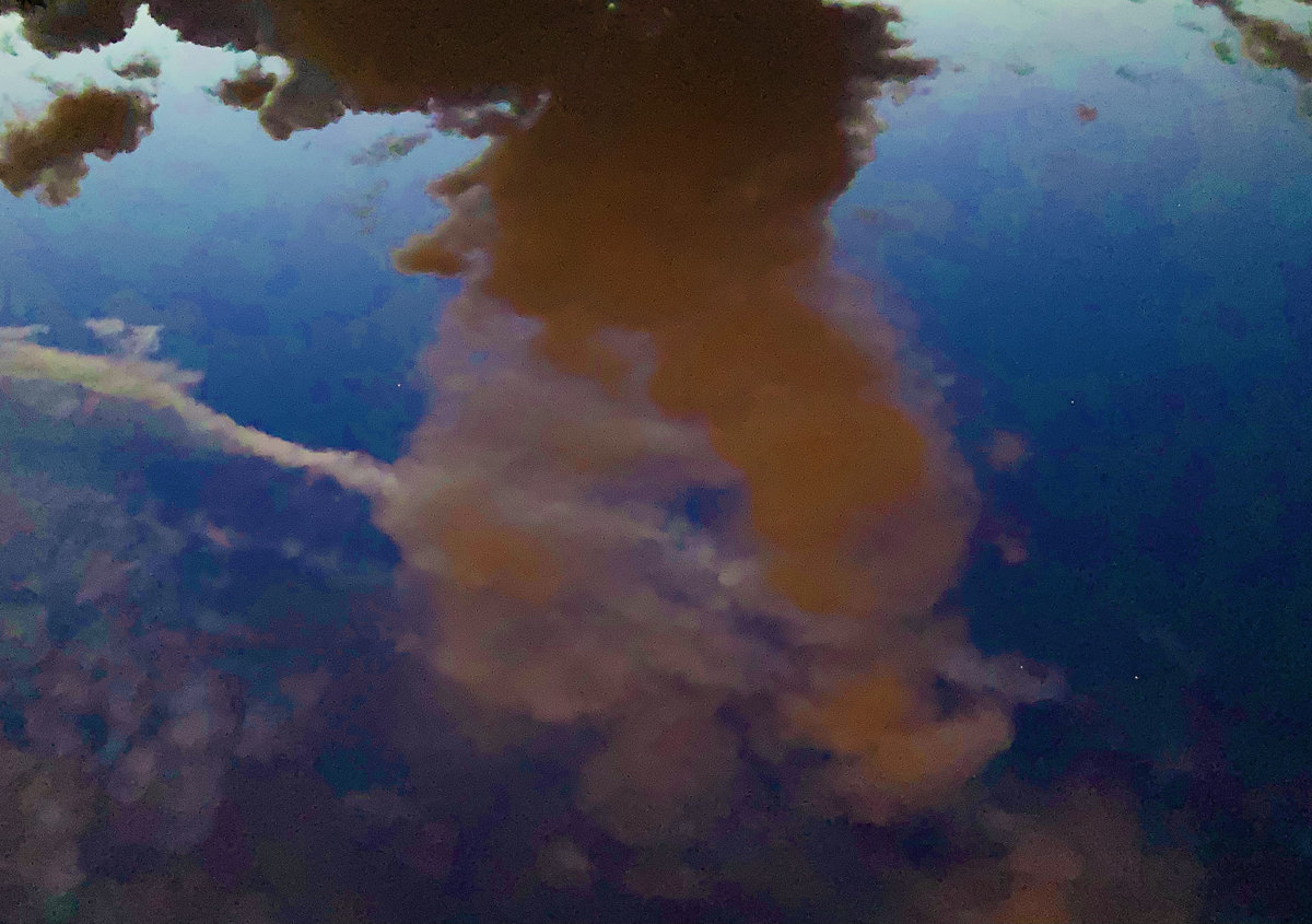 a0157632328_10.jpg