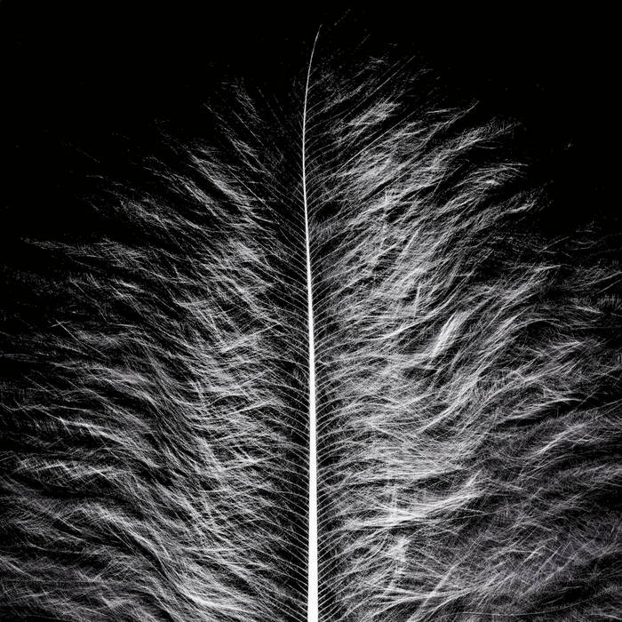 Couverture de Artús (D)