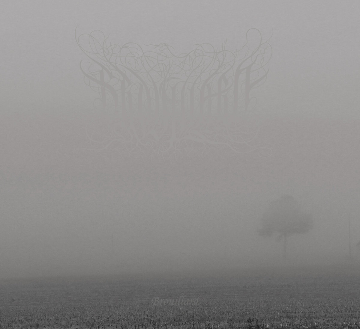 Brouillard Brouillard Transcendance