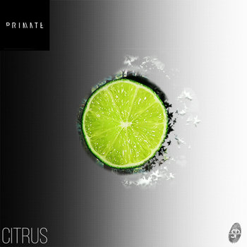 Techno Primate (UK) 24枚 SmallPrint Ingredients 003 Primate