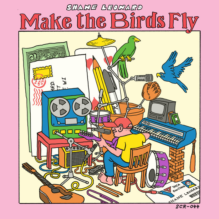 Pochette de Make the Birds Fly par Shane Leonard