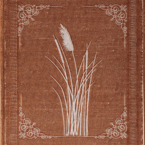Geneviève Racette — Le roseau