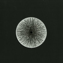 LYE (Loquace, Yamen & EDA) — No Substitute