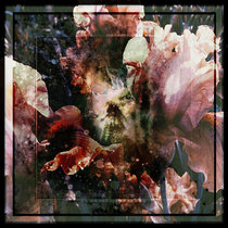 Humanity's Rainbow cover art