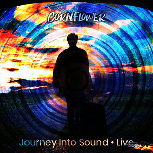 Journey Into Sound (Live) cover