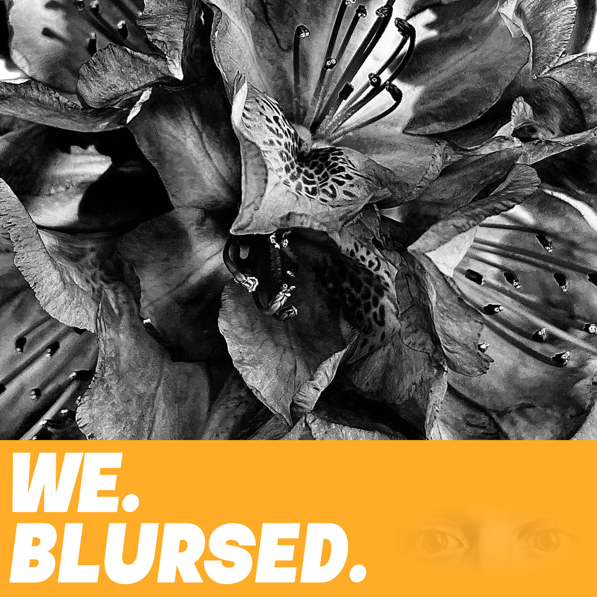 Blursed.