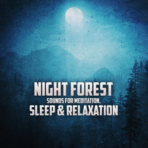 Night Forest Sounds for Meditation, Sleep & Relaxation cover art