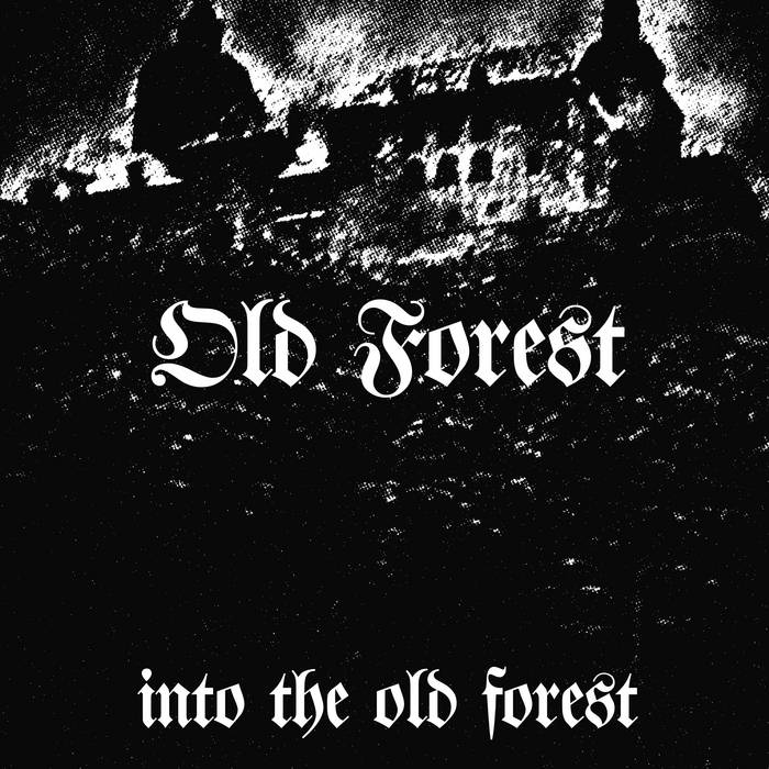 Into the Old Forest | Old Forest | NWN! Productions LLC