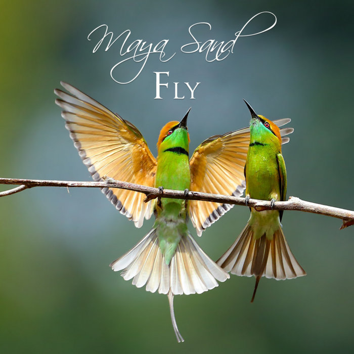 Album artwork