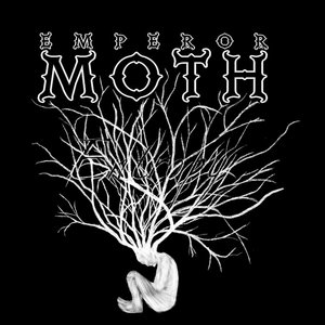 Entropy cover