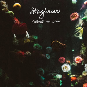Suppose You Grow cover