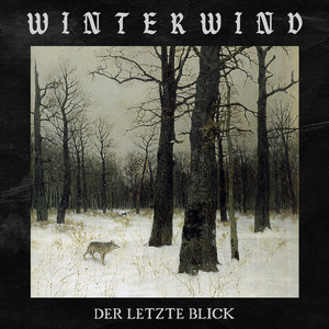 Der letzte Blick cover