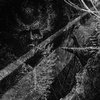 Stillborn Grace of Liberty