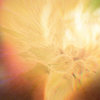 Scattered Colours