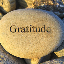 Gratitude Guided Meditation cover art