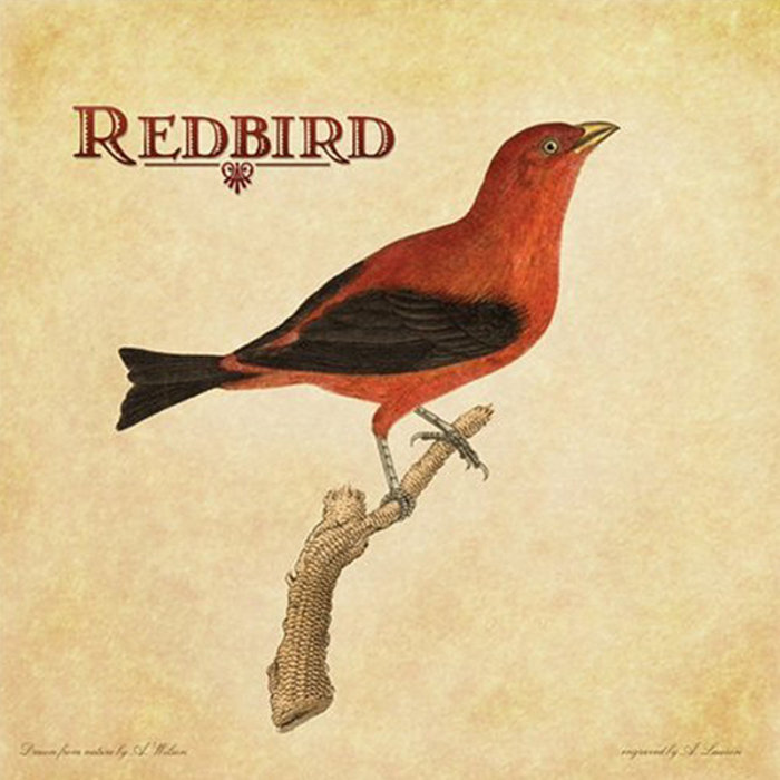 Redbird Redbird