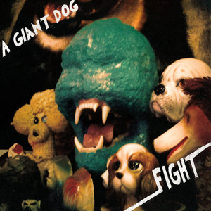 Fight cover