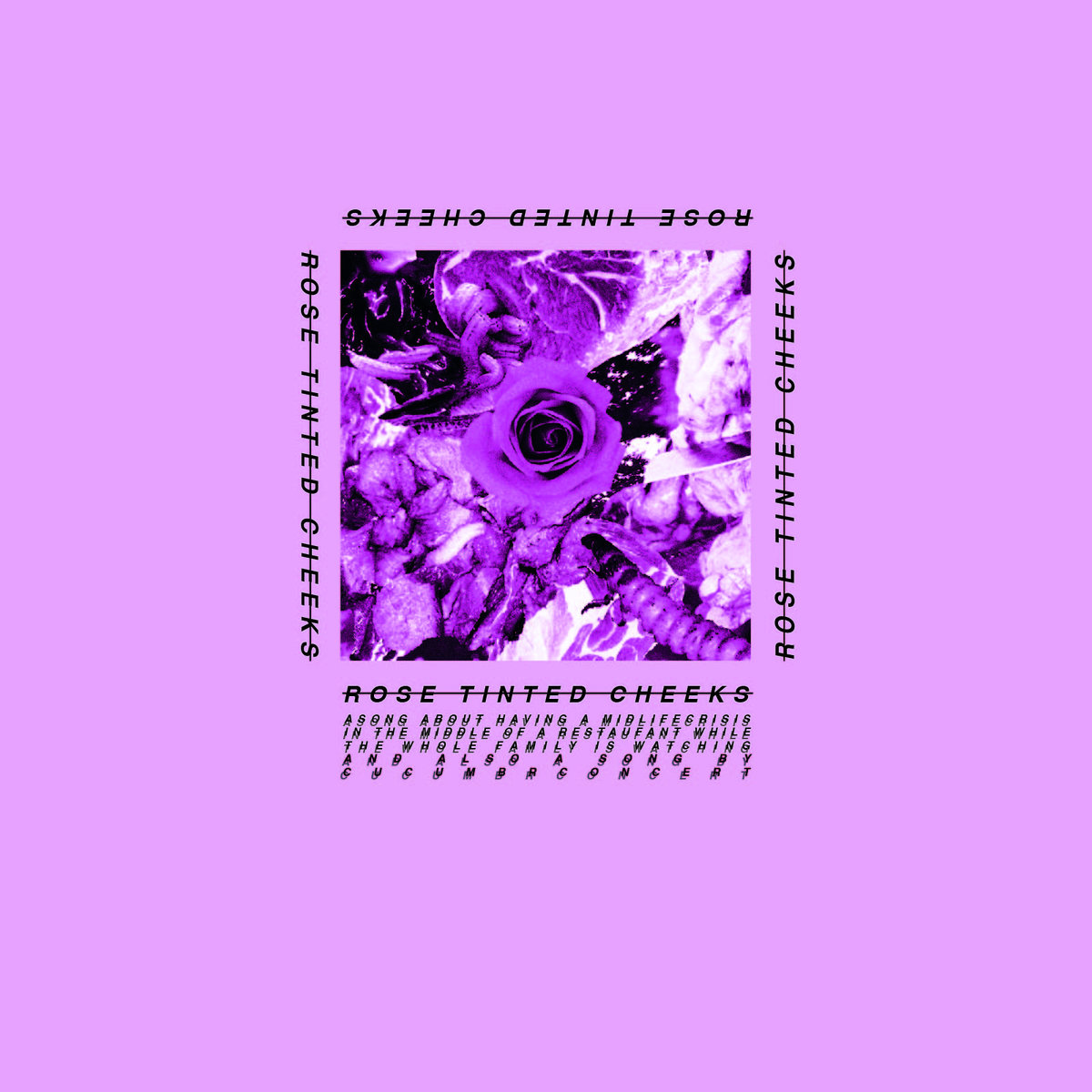 Rose Tinted Cheeks Cucumbr Concert Rose tinted cheeks♡syh + jjh. rose tinted cheeks