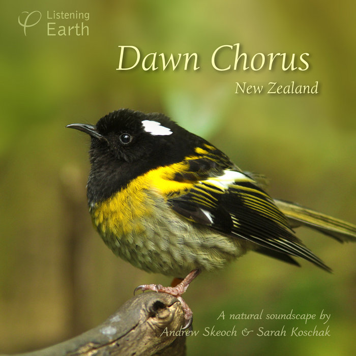 Dawn Chorus New Zealand Andrew Skeoch