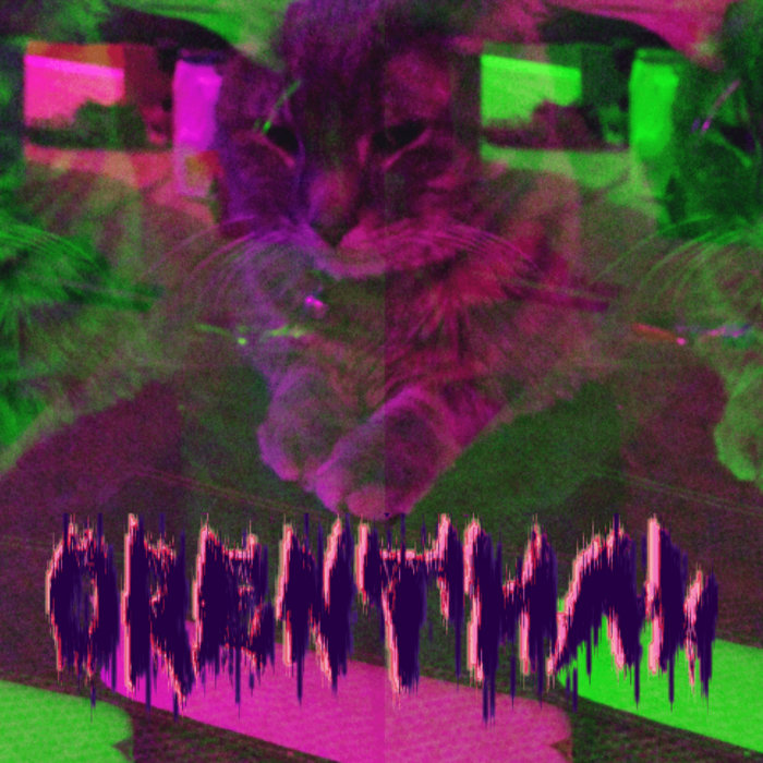 STUPID POP SONGS visual data 5