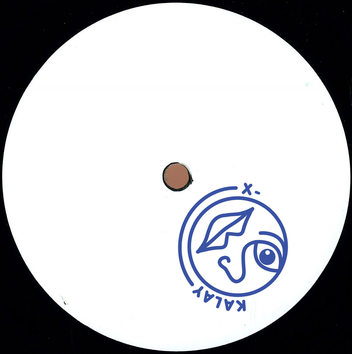 Bed Bug Bites SeixlacK XKalay