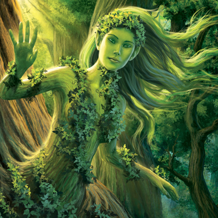 Dryad s Tree Derek Fiechter