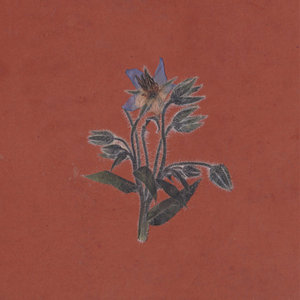 DE LA FRICHE cover