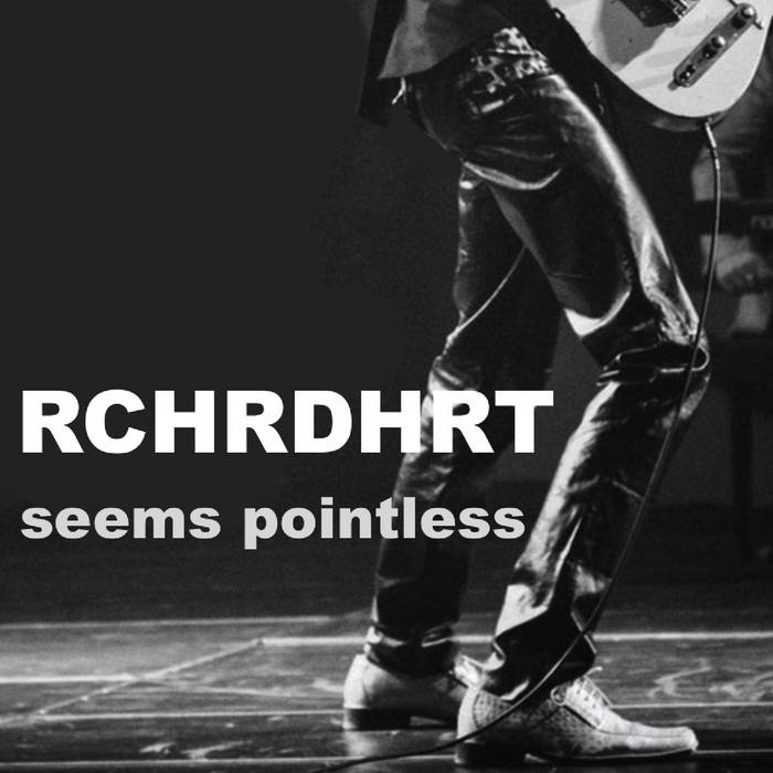 seems pointless by RCHRDHRT cover art