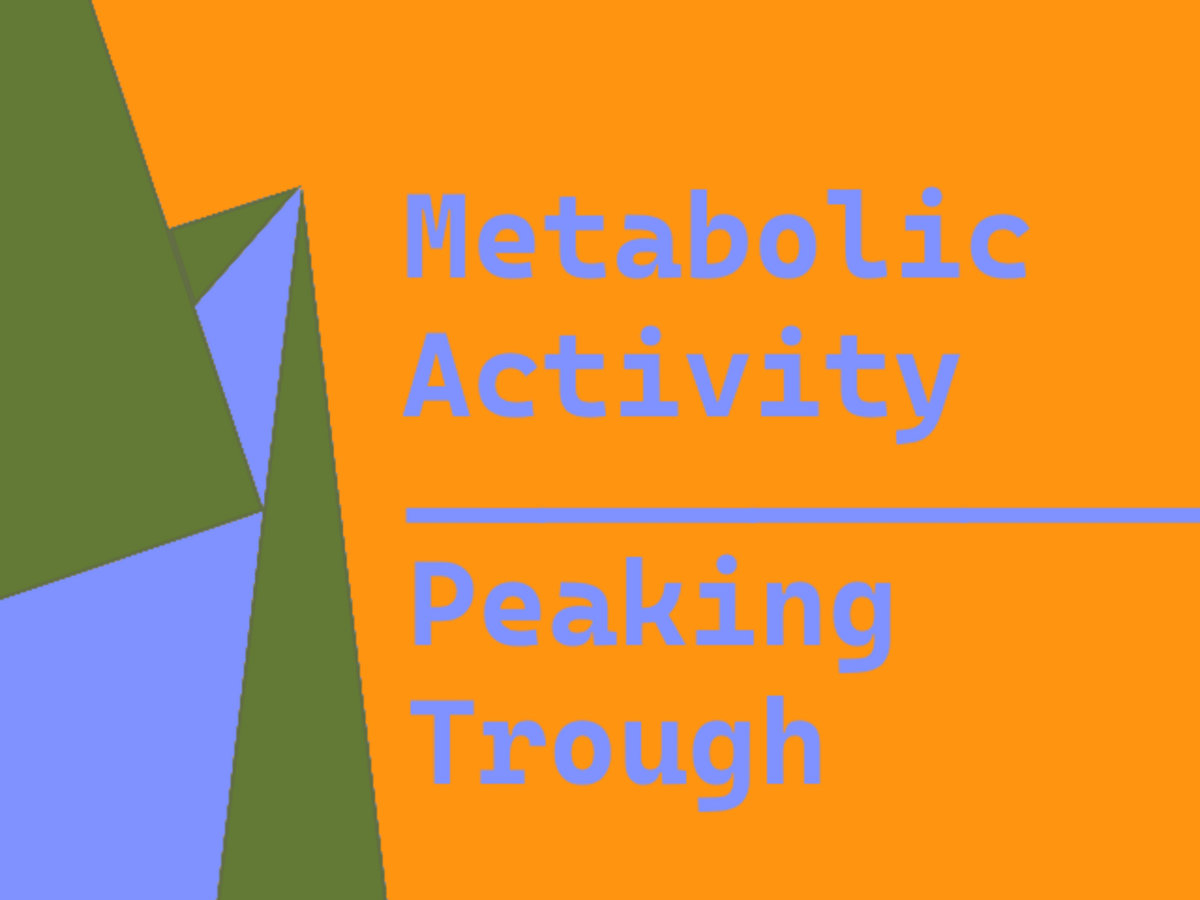 Peaking Trough | Metabolic Activity