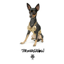 Profashion EP cover art