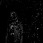 Gruesome Nightsky
