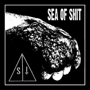 Sick/Tired / Sea of Shit split LP cover