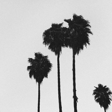 Brisbane September 25 2004 main photo