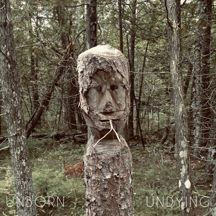 Unborn, Undying | The Gateless Gate | Allister Thompson - The Gateless Gate