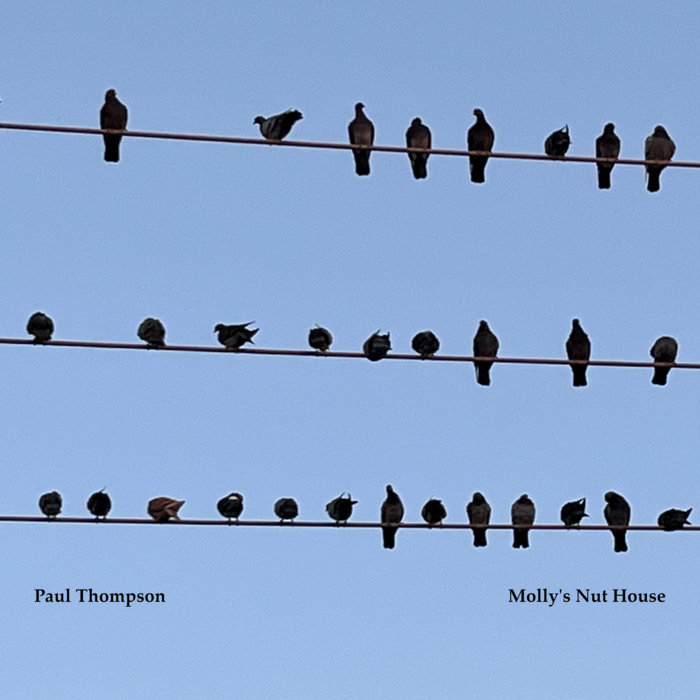 Nut House Expression at Justin Rice blog