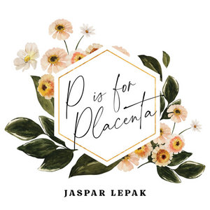 P Is for Placenta cover