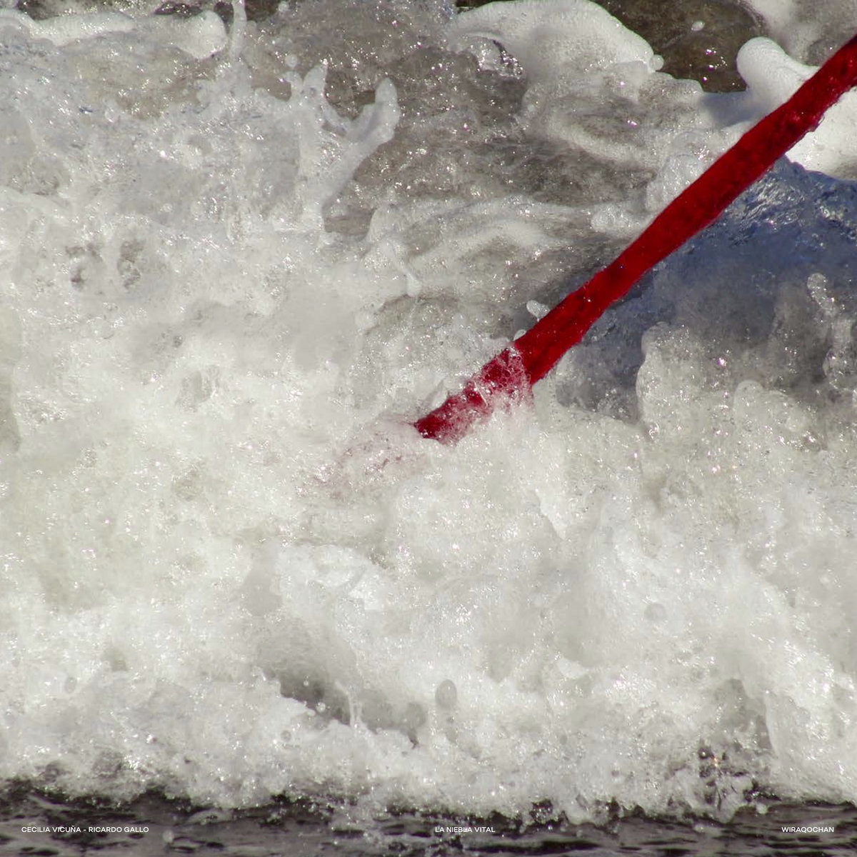 La niebla vital, Wiraqochan Cecilia Vicuña Ricardo Gallo