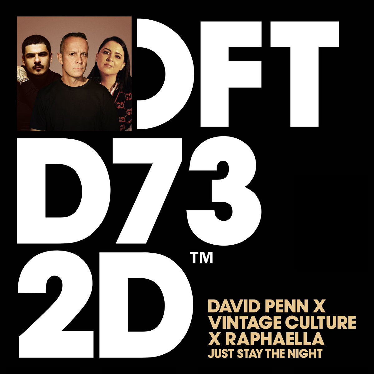 Just Stay The Night (Extended Mix) | David Penn, Vintage Culture