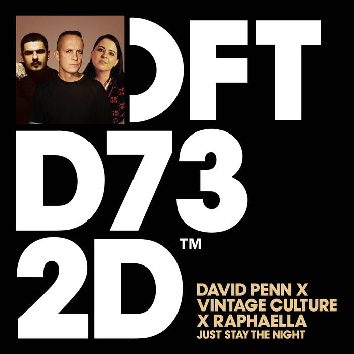Just Stay The Night (Extended Mix) | David Penn, Vintage Culture