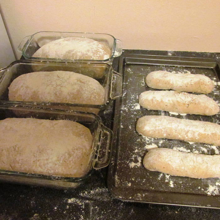 Particle illusion 3.0 crackk