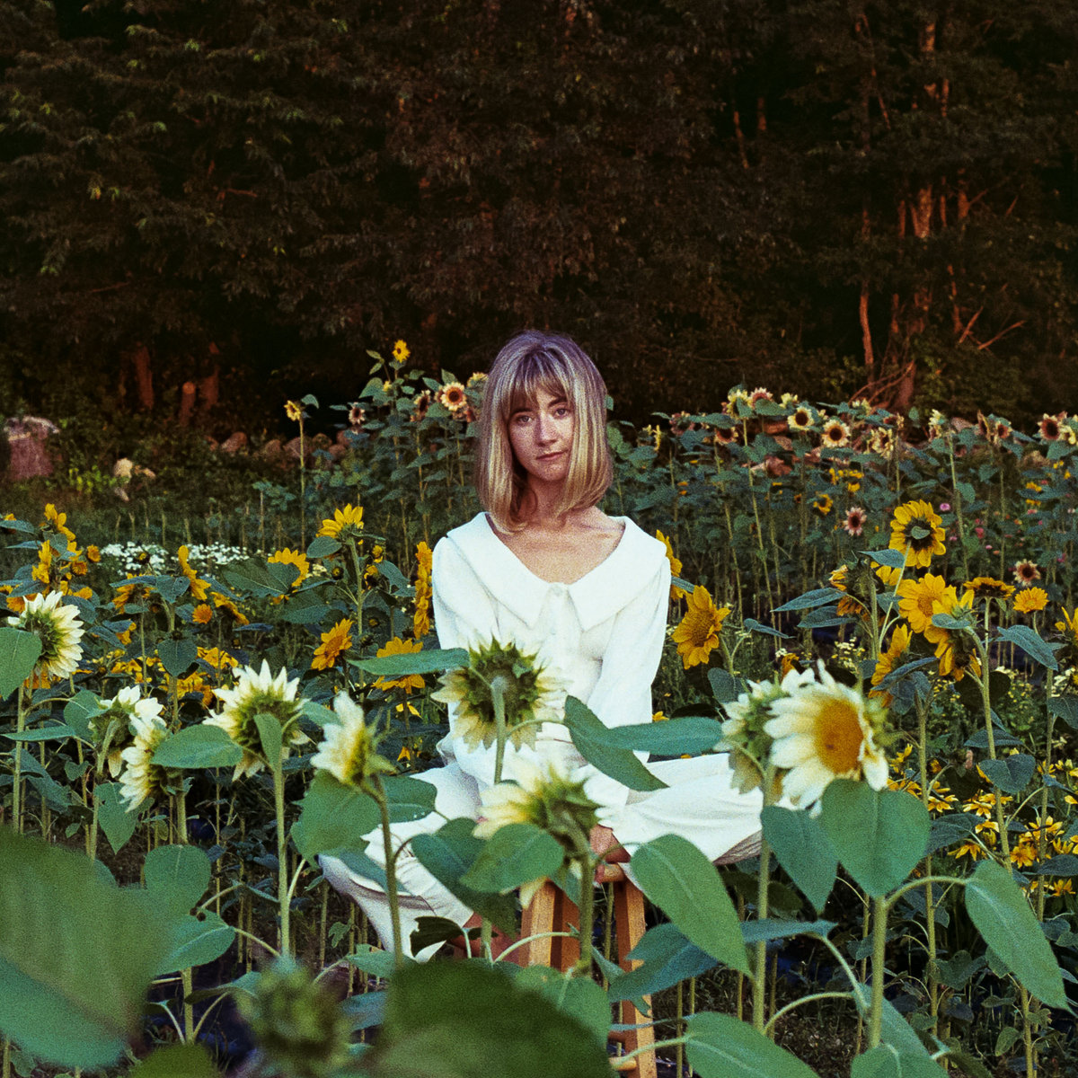 【LP】GOOD-BYE CAROL Carol (20) - Good-Bye Carol / VG+ / LP, Album | eBay